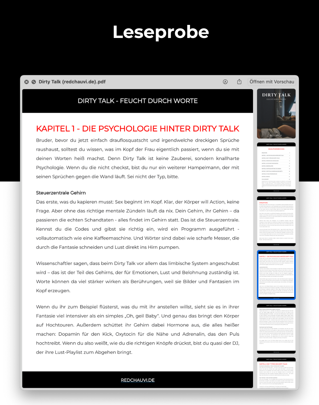 Dirty Talk: Feucht durch Worte